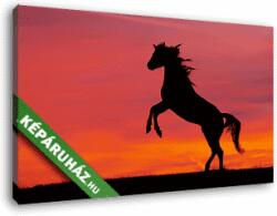 Vászonkép: Partner Kollekció: Ágaskodó ló napnyugtában(140x85 cm)
