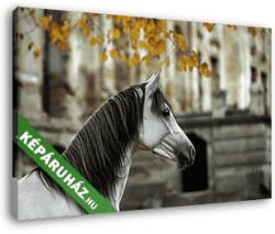 Vászonkép: Partner Kollekció: Arab ló kastélyrommal(145x95 cm)