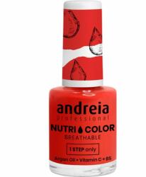 Andreia Professional Nutri Color Care & Color NC16 10,5 ml
