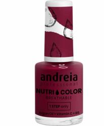 Andreia Professional Nutri Color Care & Color NC23 10,5 ml