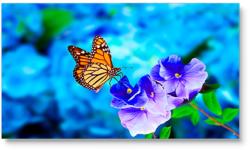 NEC MultiSync UN552VS (60004524)