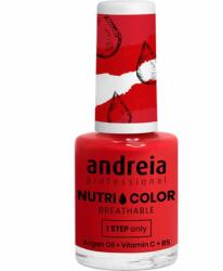 Andreia Professional Nutri Color Care & Color 10,5 ml (NC17)