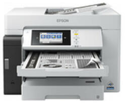 Epson C11CJ41405