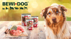 Bewi Dog conservă cu conținut bogat de burtă de vită (6 x 800 g) 4.8 kg