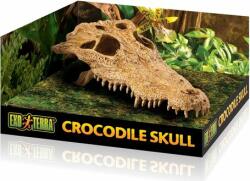 Exo Terra - Decor terariu, craniu de crocodil - 15 cm