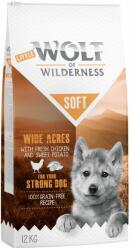 Wolf of Wilderness Junior Soft Wide 2x12 kg