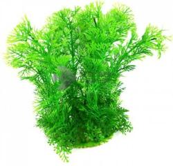 Plantă de acvariu cu tulpină lungă și frunze verzi, mici și ramificate 22 cm