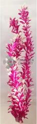 Plantă de acvariu cu tulpină lungă, roz, cu vârfurile frunzelor albe 37 cm
