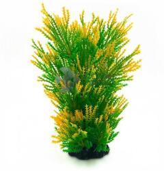 Plantă de acvariu în culori degradee de la verde la galben cu ace 20 cm