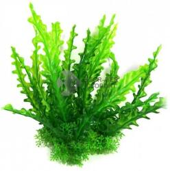 Algă verde pentru acvariu cu plante mici la bază 22 cm