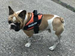 Ham Julius-K9 IDC Power portocaliu UV neon (Mărime: 2, 28-40 kg, 71-96 cm)