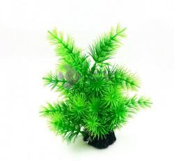 Plantă ornamentală pentru acvariu cu ace mici verzi 20 cm