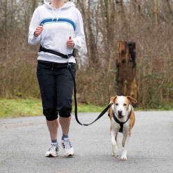 TRIXIE Dog Activity curea de activitate cu lesă pentru câini de talie medie și mare (Curea: 75-120 cm / 9 cm | Lesă: 120-150 cm / 25 mm) (12767)