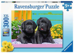 Ravensburger Puzzle Catelusi, 300 Piese - Rvspc12950 (rvspc12950)