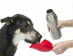 KONG H2O rozsdamentes acél kutya itató palack 700ml