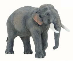 Papo Elefant asiatic - Figurina Papo (P50131)