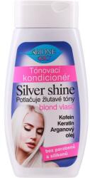 Bione Cosmetics Balsam pentru păr deschis - Bione Cosmetics Bio Silver Shine Conditioner 260 ml
