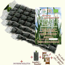 bioBúzafűlé. hu Bio Árpafűlé MegaPack