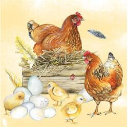 Ambiente Szalvéta 33x33cm 20db/csomag Breeding Chicken, Kotlós csirke (AMB.13312820)