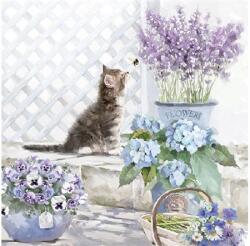AMBIENTE Szalvéta 33x33cm 20db/csomag Kitten, Cica (AMB.13309990)