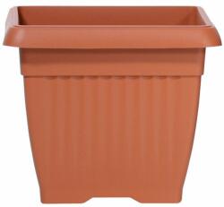 Prosperplast Terra 15x13 cm (DKWT15)