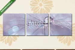  Többrészes Vászonkép, Premium Kollekció: Water drop on a dandelion seed , multicolored background bokeh. (125x40 cm, B01)