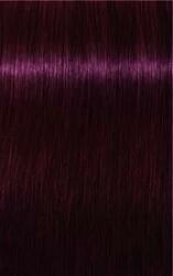 Schwarzkopf Igora Új Royal hajfesték 60ml 4-88