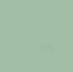 Weber Saint Gobain Romania Chit Rosturi - Weber Color Comfort Olive, 5 kg