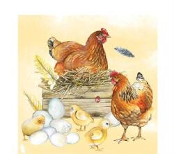 Ambiente Szalvéta 1db 25x25cm Breeding Chicken, Kotlós csirke (AMB.12512820)