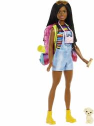 Mattel Papusa Barbie Brooklyn, La Camping Papusa Barbie