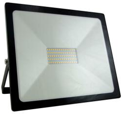 Baterie Centrum LED Reflektor LED/50W/230V IP65 BC0422 (BC0422)
