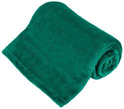 TEESA Patura Fleece Teesa Polar, 150 x 200 cm, poliester, 220 g/m2 greutate, certificare OEKO-TEX 100, Verde (TSA8901-2)