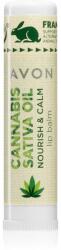 Avon Cannabis Sativa Oil Nourish & Calm balsam de buze cu ulei de canepa 4, 5 g