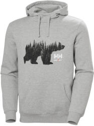 Helly Hansen GRAPHIC KAPUCNIS PULÓVER, szürke, 3XL (79264_930_3XL)