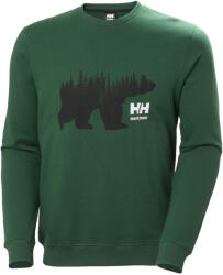 Helly Hansen GRAPHIC HOSSZÚ UJJÚ PÓLÓ, zöld, 3XL (79262_460-3XL)