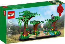 LEGO® Jane Goodall tiszteletére (40530)