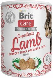  Brit Brit Care Cat Snack Superfruits Lamb, 100 g