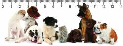  Mapcards 3D vonalzó 14cm, cica kutyákkal (MC937)