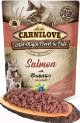 CARNILOVE Puppy Paté Salmon & Blueberries 300gr