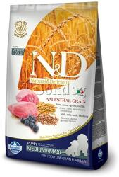N&D N&D Ancestral Grain Puppy Med. -Maxi bárány&áfonya 12kg