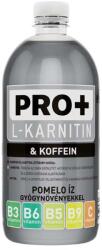  PRO+ L-karnitin & Koffein Pomelo 750ml
