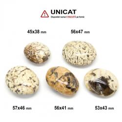 Zebradorit - Feldspat Palm Stone - 45-57 x 38-47 mm (XXL) - 1 Buc