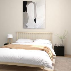 vidaXL Noptiere, negru, 2 buc. , 40x30, 5x40 cm, lemn masiv de pin (808122)