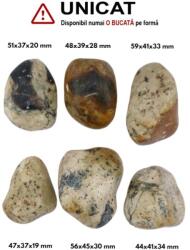 Palm Stone Opal Dendritric Natural - 44-59 x 37-45 x 19-33 mm - (XXL) - Unicat