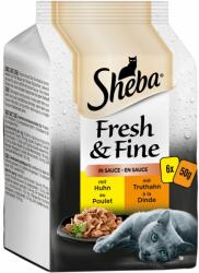 Sheba 6x50 g Sheba Fresh & Fine Pulyka & csirke aszpikban nedves macskatáp