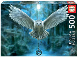 Educa Anne Stokes - Awake Your Magic 500 db-os (17959)