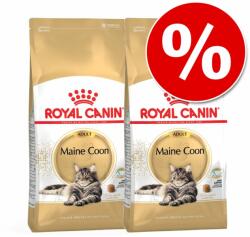 Royal Canin 2x10kg Royal Canin norvég erdei macska száraz macskatáp