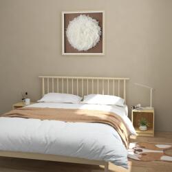 vidaXL Noptiere, 2 buc. , 35, 5x33, 5x41, 5 cm, lemn masiv de pin (809920)