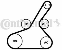 Continental Ctam Set curea transmisie cu caneluri CONTINENTAL CTAM 6PK1190K1 (6PK1190K1) - automobilus