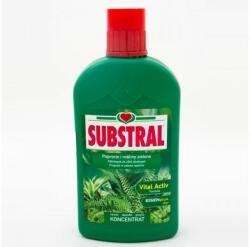 SUBSTRAL Zöldnövény és páfrány tápoldat 500 ml (732113-10410)